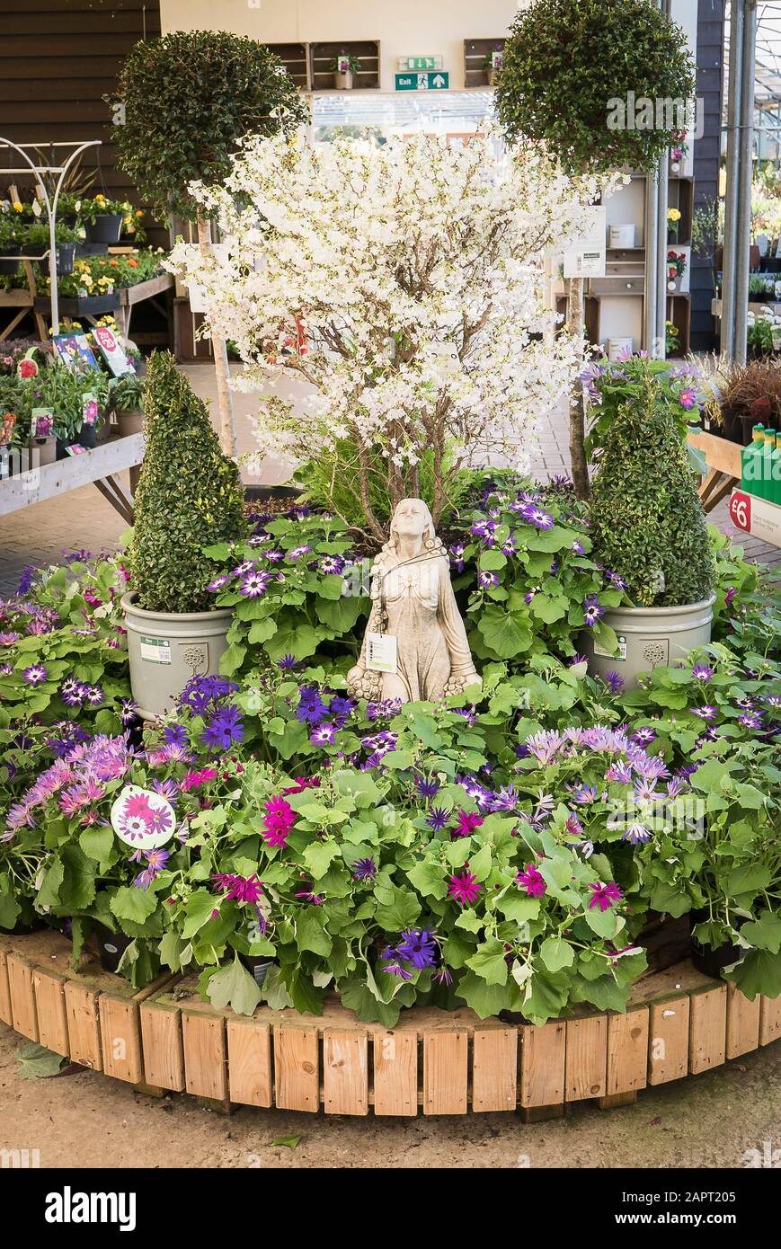 A display of seasonal plants for sale at an English garden centre in