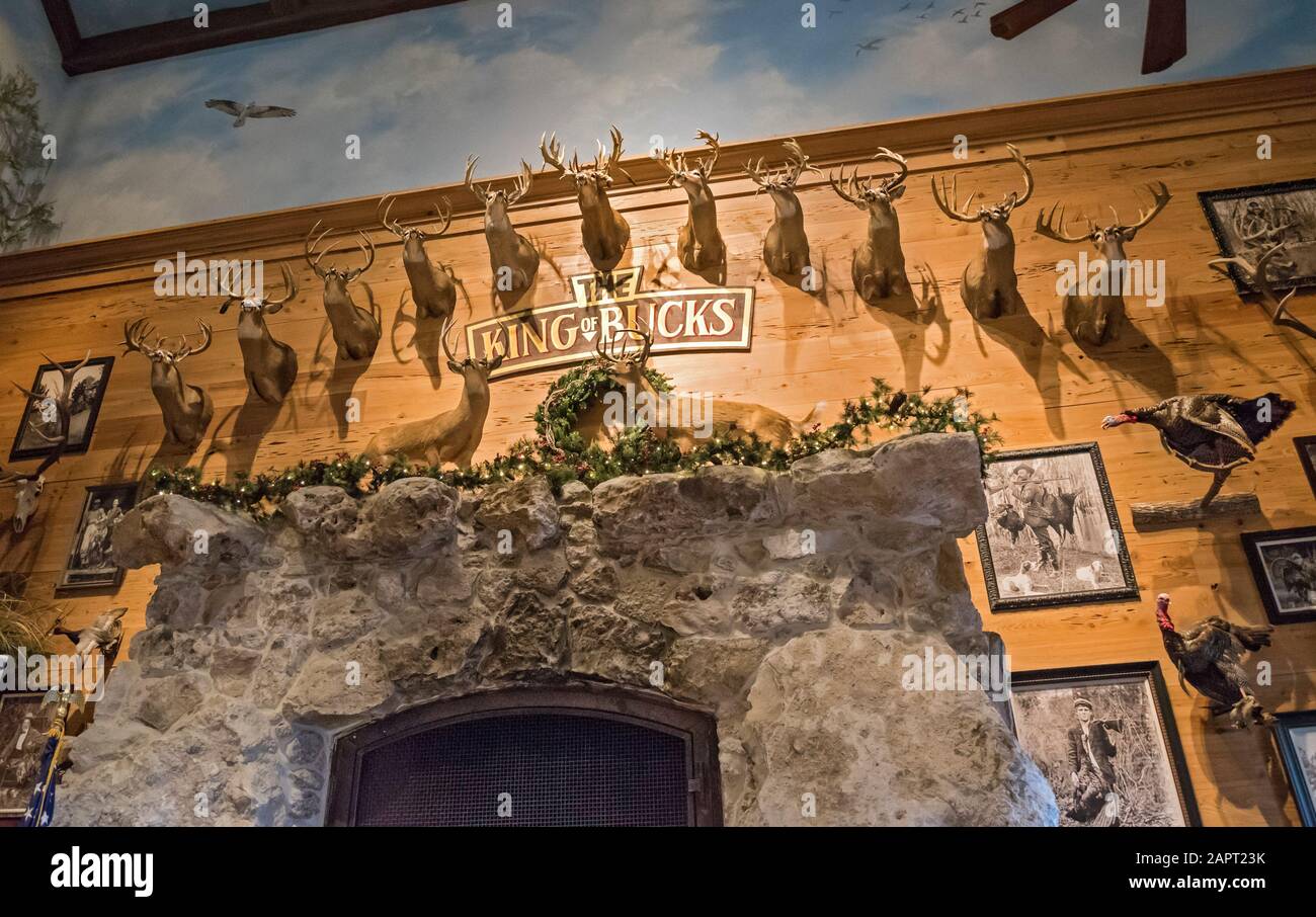 Deer hunting and america hires stock photography and images Alamy