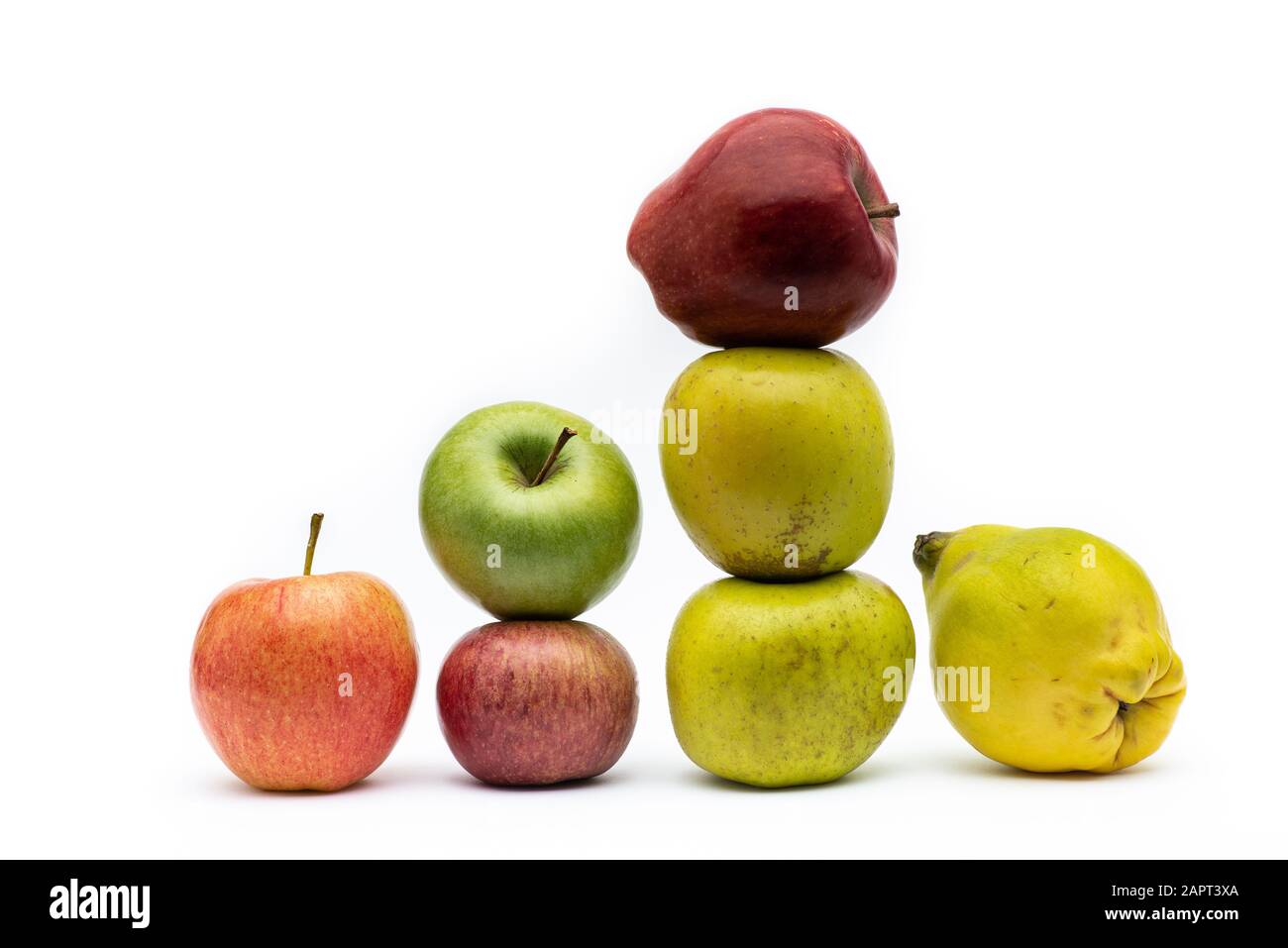 Seven apples of different types isolated from the white background