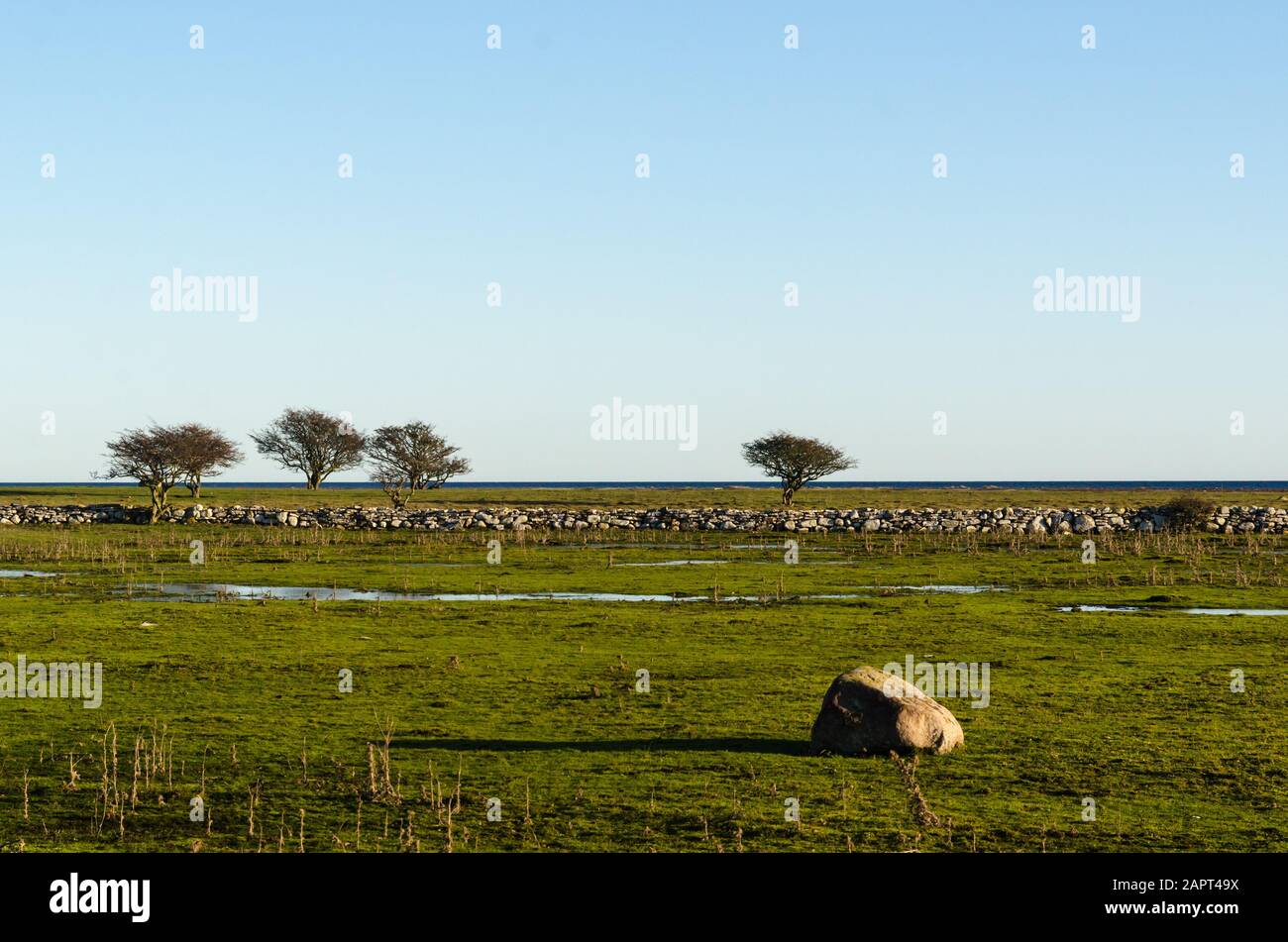 Great plain grassland on the swedish island Oland in the Baltic Sea Stock Photo