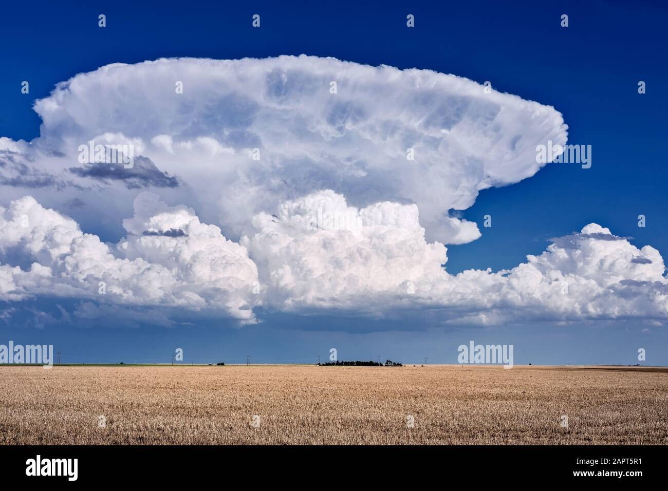 Scenic landscape with thunderstorm cumulonimbus cloud in the sky near Goodland, Kansas Stock Photo