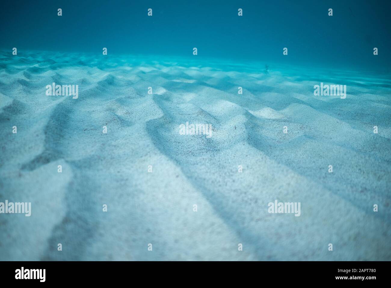 Underwater Shoot Of An Infinite Sandy Sea Bottom With Waves On A Sea