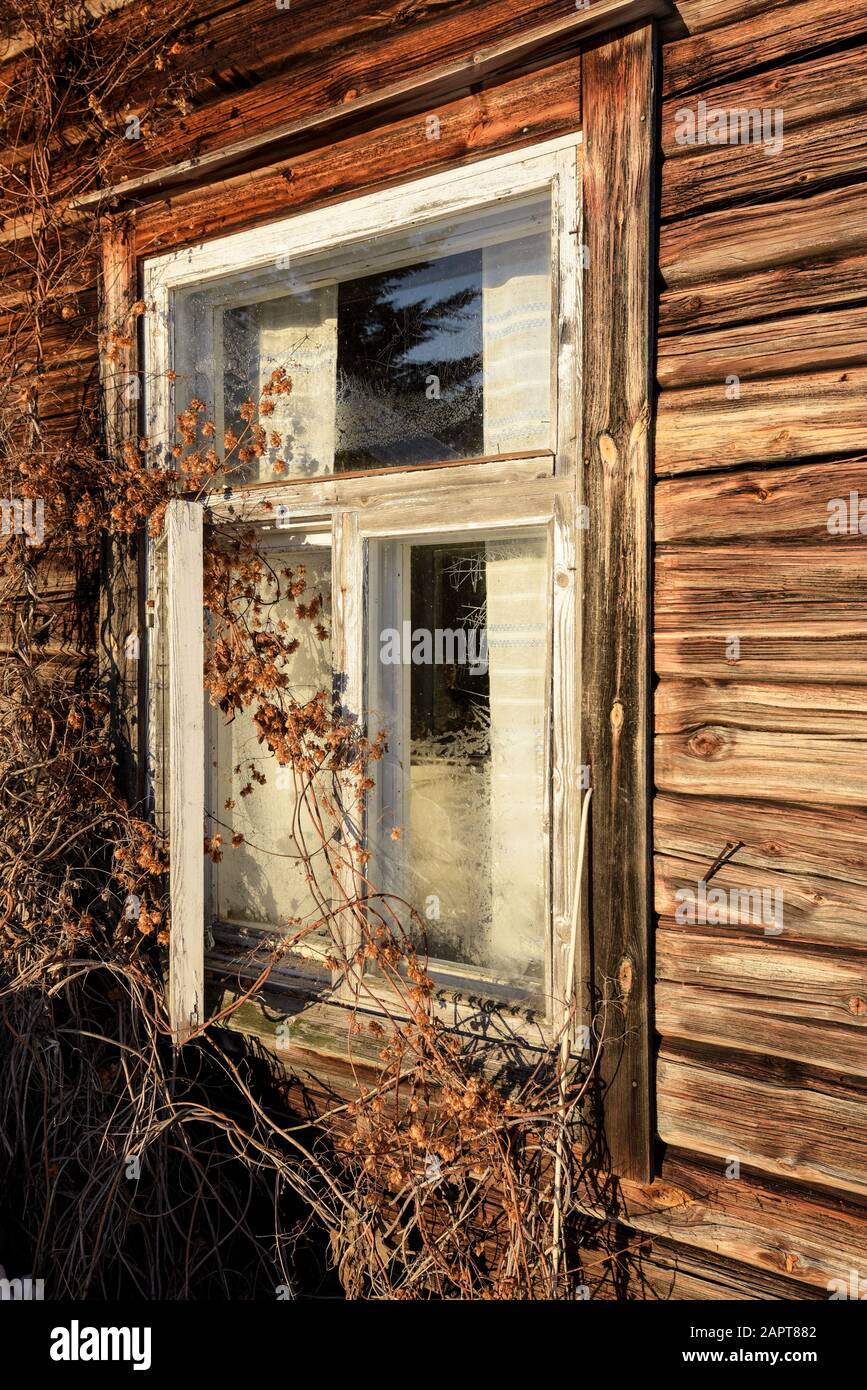 Window on old log house Stock Photo