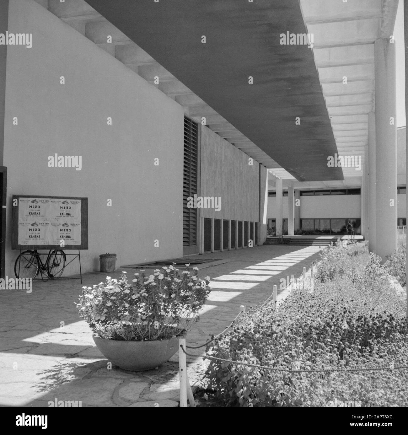 northpark mall 1965
