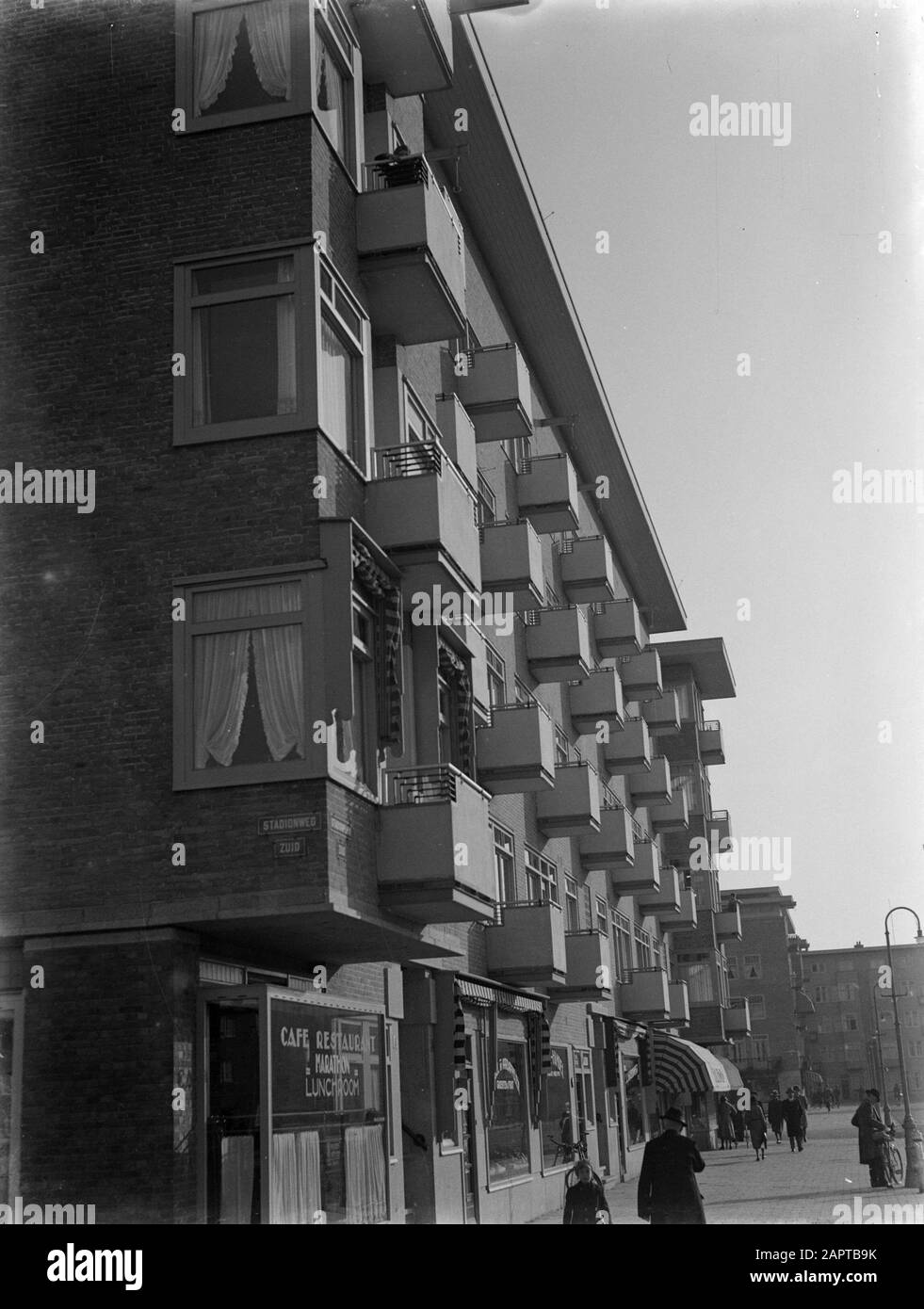 kaktus zimmer Fototapete Kaktus main image 1