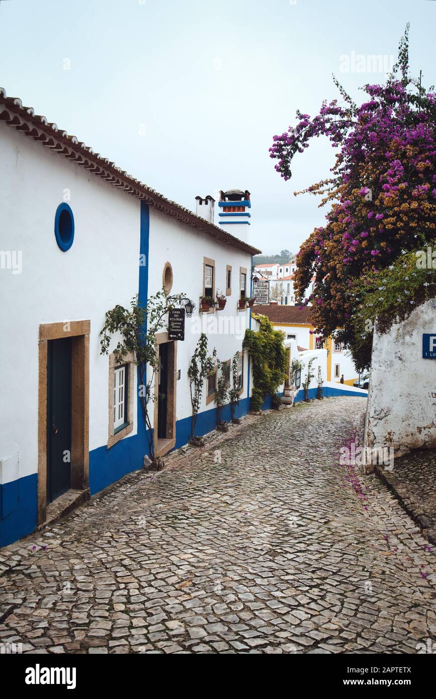 Photo of the obidos in Portugal and the flowers Stock Photo