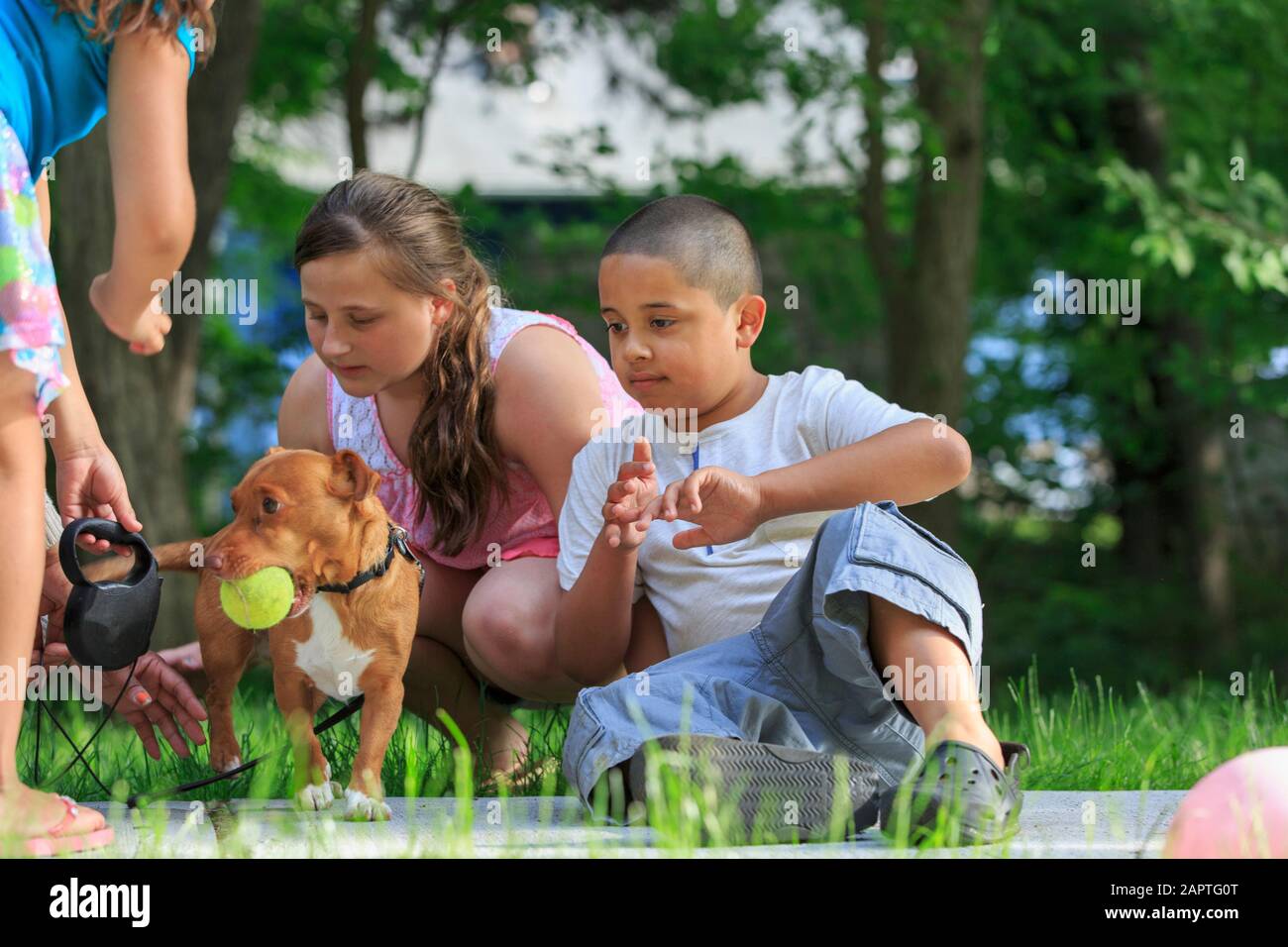 Children playing with a dog outside Stock Photo