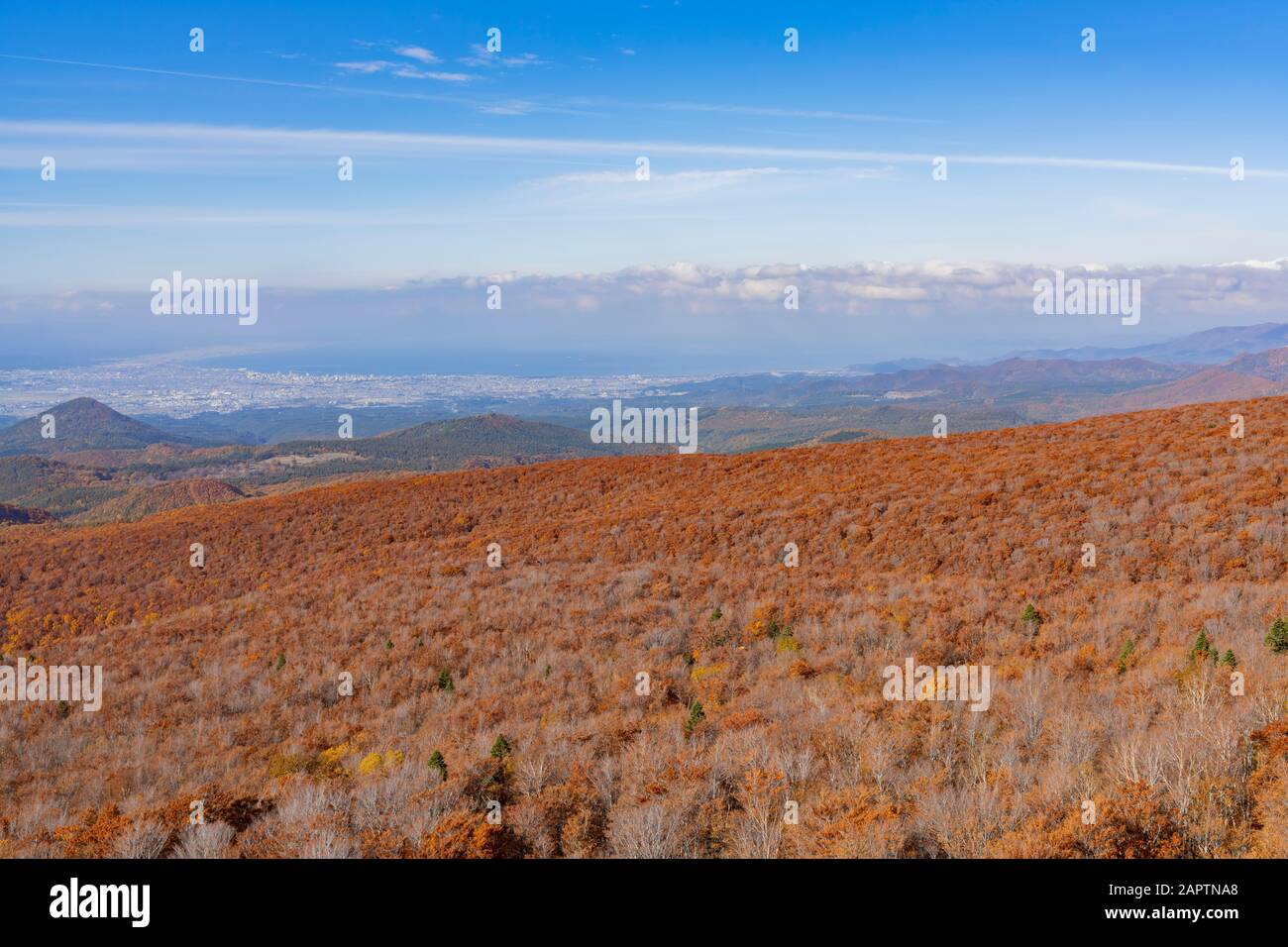 Aerial view of aomori city hi-res stock photography and images - Alamy