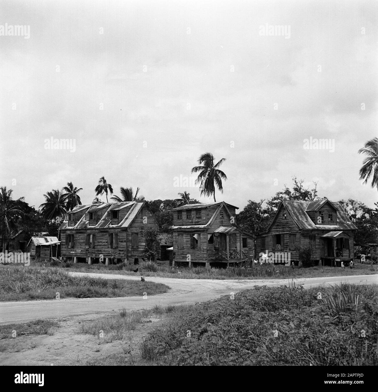 Travel to Suriname and the Netherlands Antilles Wooden houses, probably