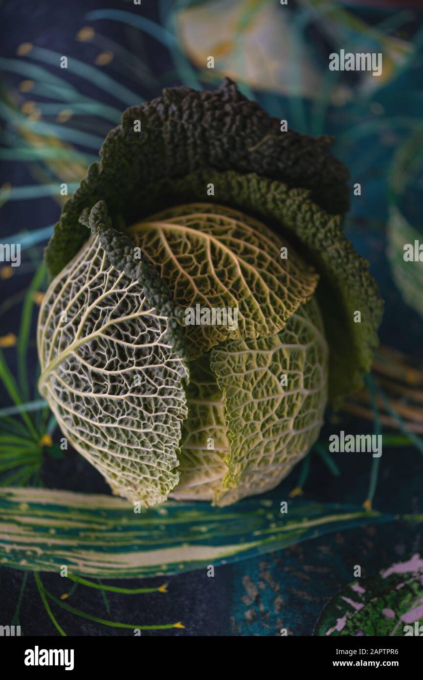 Crinkly savoy cabbage sat on a patterned fabic. Stock Photo