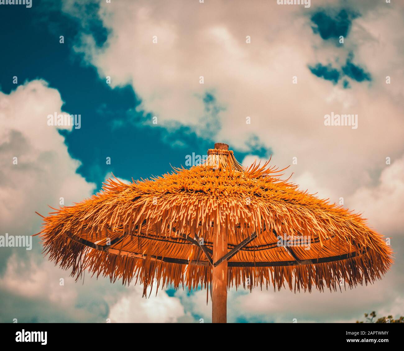 Flamingo beach, Renaissance Island Aruba. Bamboo beach umbrella hut Stock  Photo - Alamy