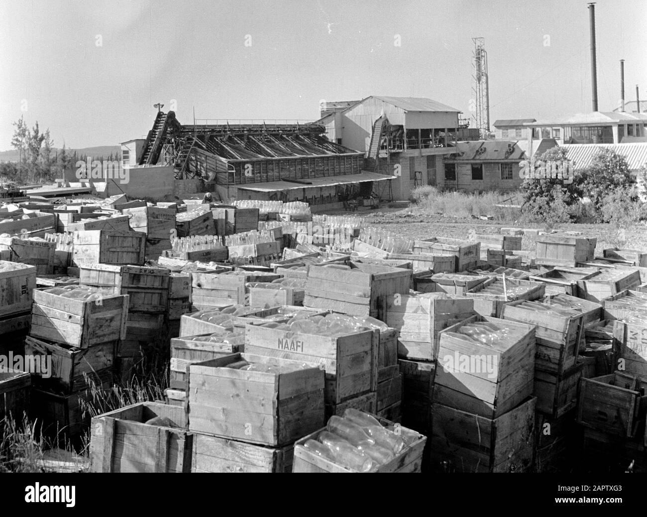 Israel 1948-1949: kibbutz Kiwath Brenner. Crates of empty bottles, presumably at the flushing of kibbutz Kiwath Brenner; in the foreground a crate with the inscription NAFI. Annotation: Kibbutz Kiwath Brenner is also referred to as Givat Brenner. NAAFI (Navy, Army and Air Force Institutes) is a British organization of military catering and military catering. For the first time, the first time the first time is to be in the world. Stock Photo