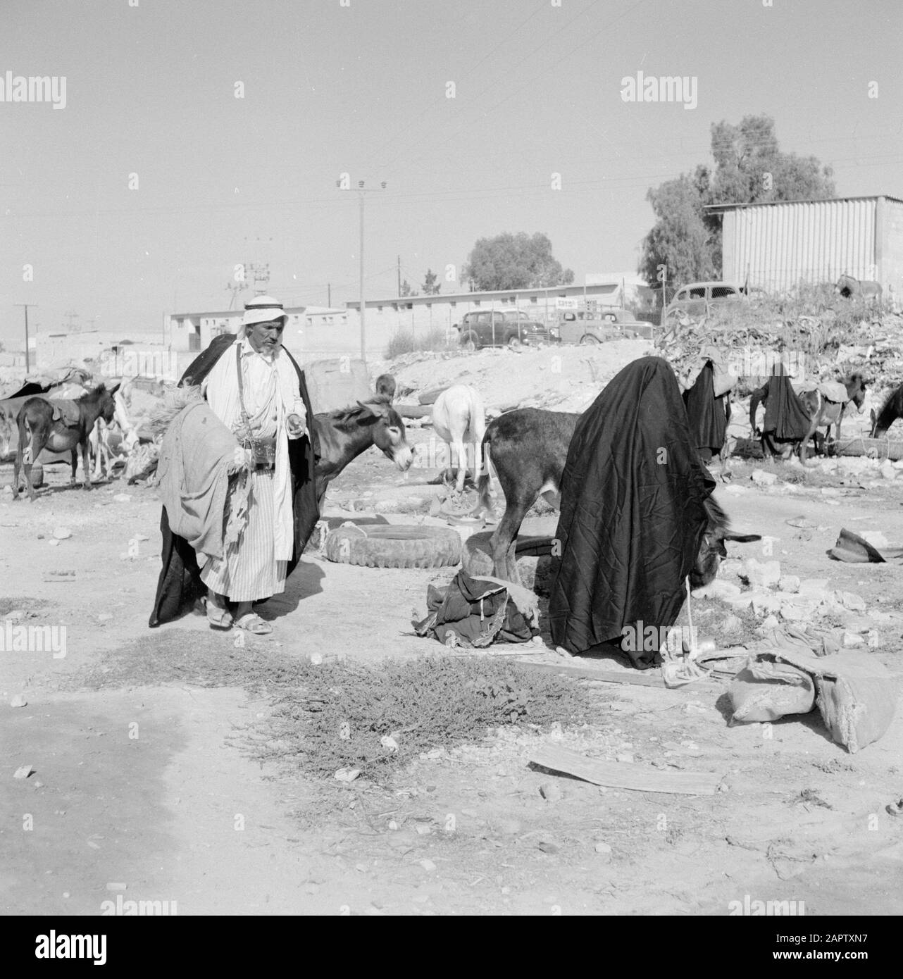 Bedouins with donkeys. Report /Series: Israel 1960-1965: Bedouins in Beershewa (Beer Sheva). Stock Photo