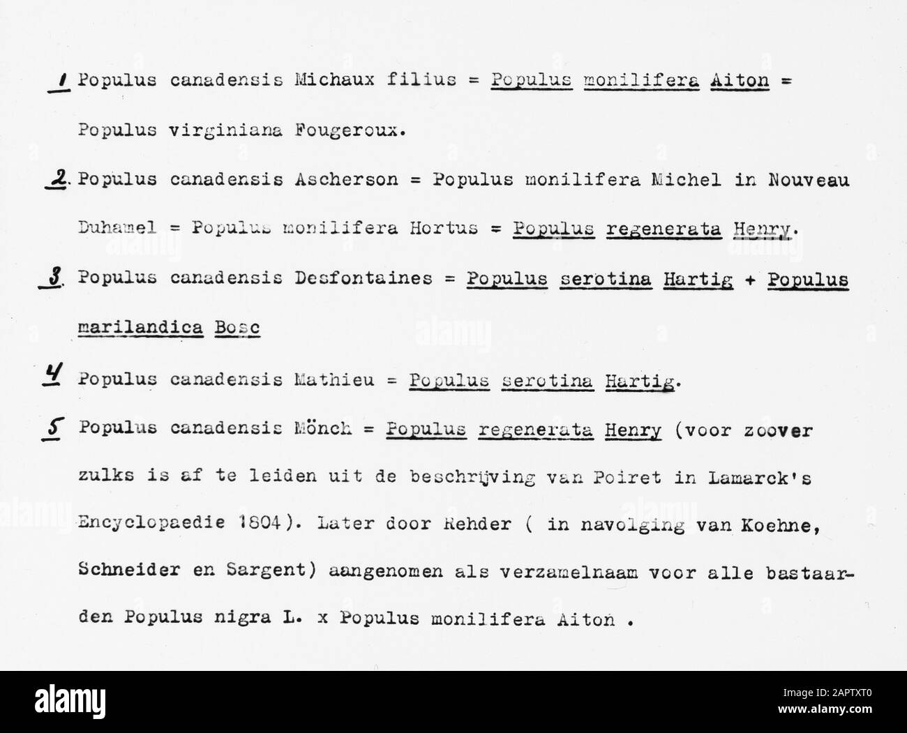 scientific designations Date undated Keywords trees, forests