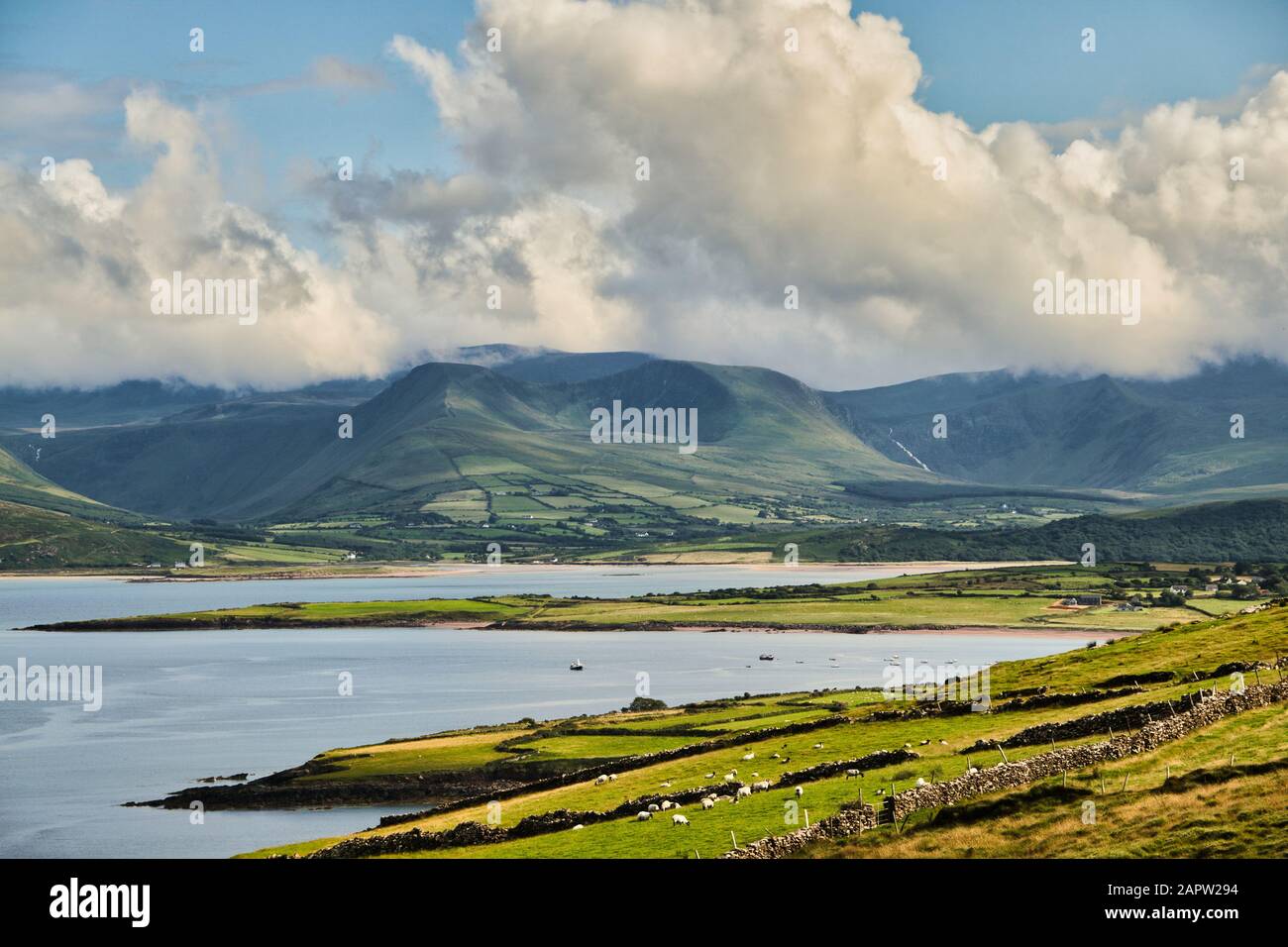 View of Irish fjord in summer Stock Photo