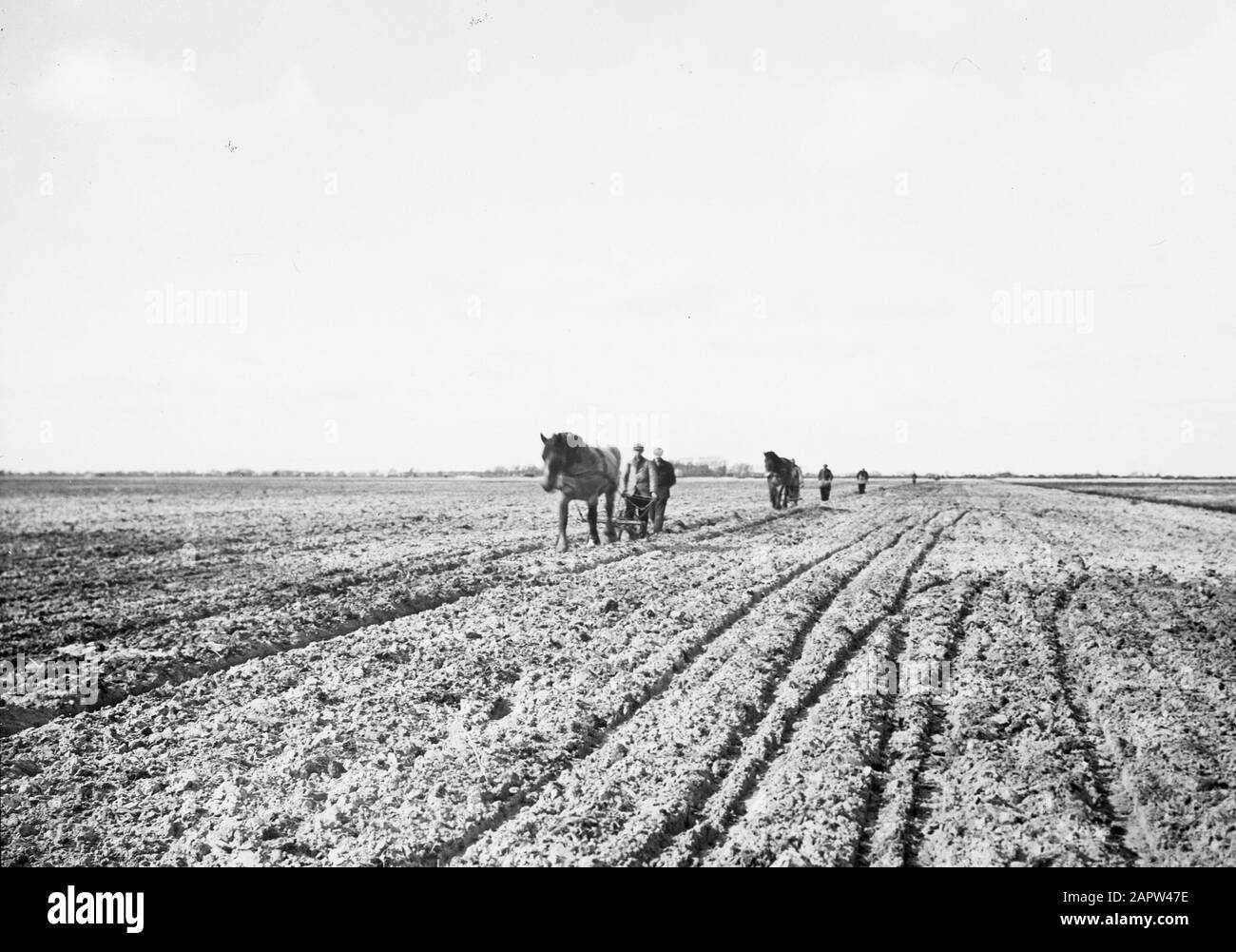 Exploitation work hi-res stock photography and images - Alamy