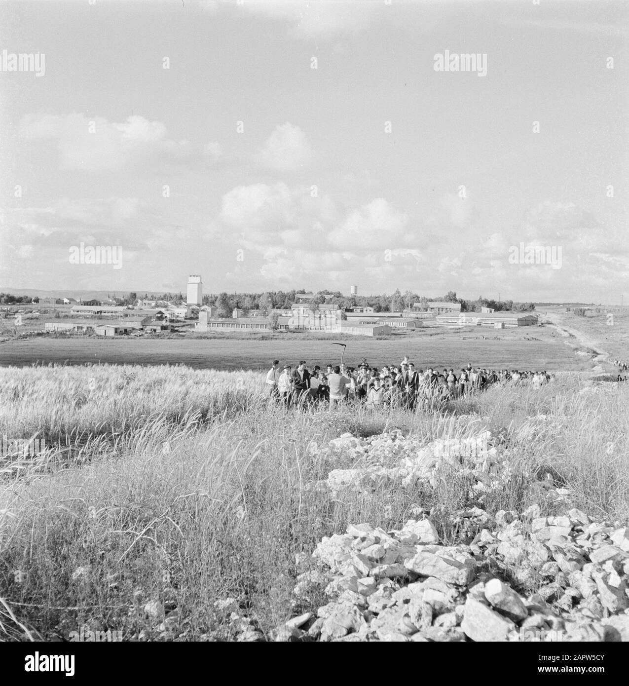Israel 1964-1965. Gal'ed  Kibbutz Gal'ed. Panorama with in the foreground a field with ripening grain. Residents of the kibbutz have gathered for the first cut of the grain on the day preceding the Jewish Easter feast - pesach Annotation: Gal'ed (also called Even Yitzhak) is a kibbutz in northern Israel, located in the plain of Menasse. Date: January 1, 1960 Location: Gal'ed, Israel Keywords: fields, cereals, Jewish religion, kibbutz, harvest festivals Stock Photo
