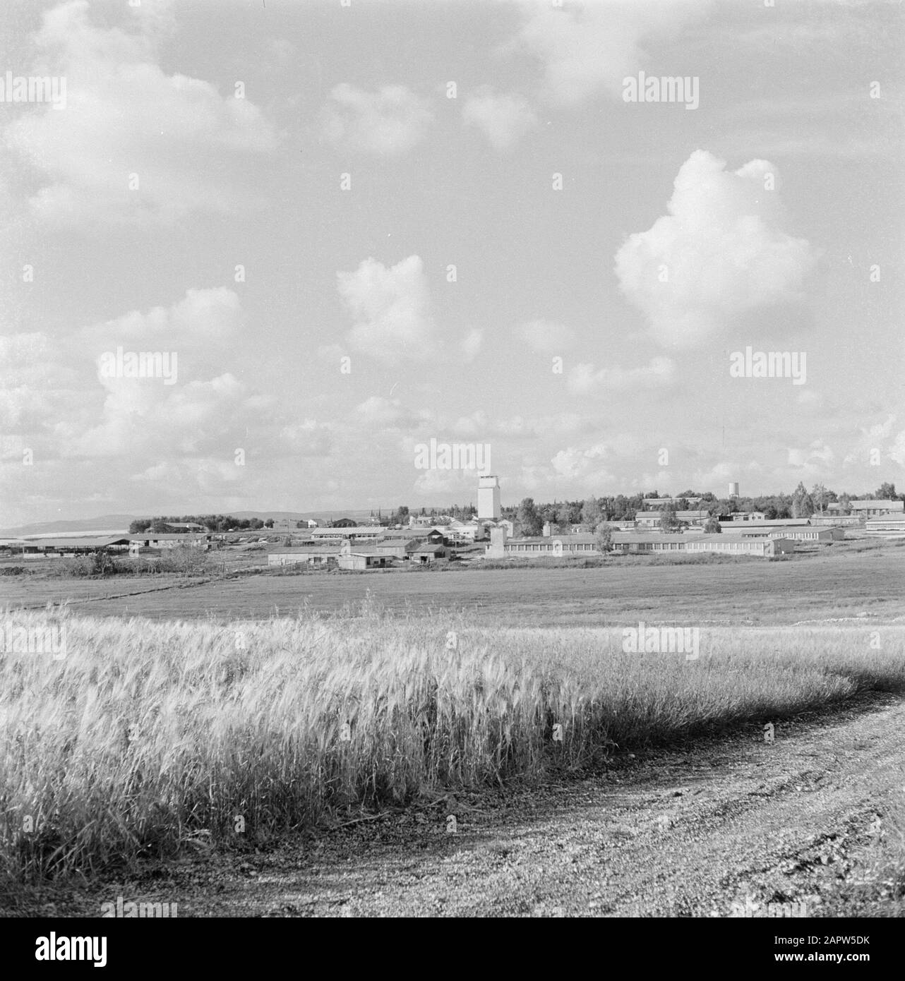 Israel 1964-1965. Gal'ed  Kibbutz Gal'ed. Panorama with the kibbutz in the distance and with in the foreground a field with ripening grain Annotation: Gal'ed (also called Even Yitzhak) is a kibbutz in the north of Israel, located in the plain of Menasse. Date: January 1, 1960 Location: Gal'ed, Israel Keywords: fields, cereals, kibbutz, panoramas Stock Photo