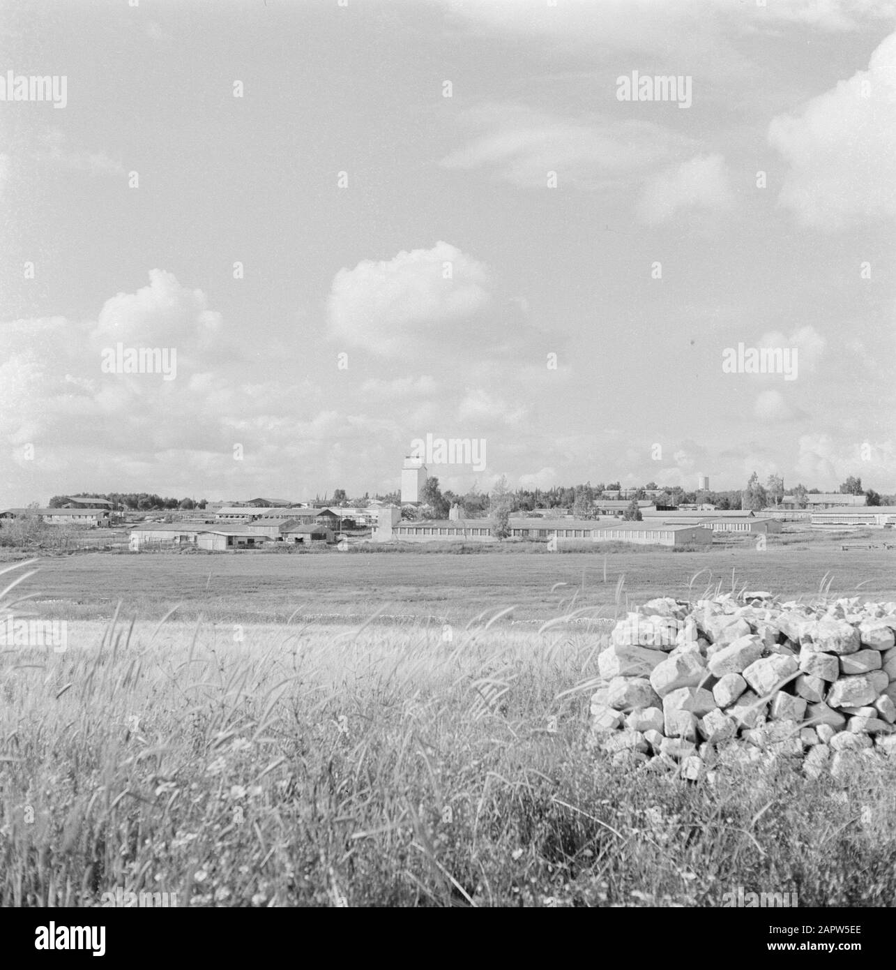 Israel 1964-1965. Gal'ed  Kibbutz Gal'ed. Panorama with the kibbutz in the distance, with in the foreground a field of ripening grain and a heap of stacked stones Annotation: Gal'ed (also called Even Yitzhak) is a kibbutz in northern Israel, located in the plain of Menasse. Date: January 1, 1960 Location: Gal'ed, Israel Keywords: fields, cereals, kibbutz, panoramas Stock Photo