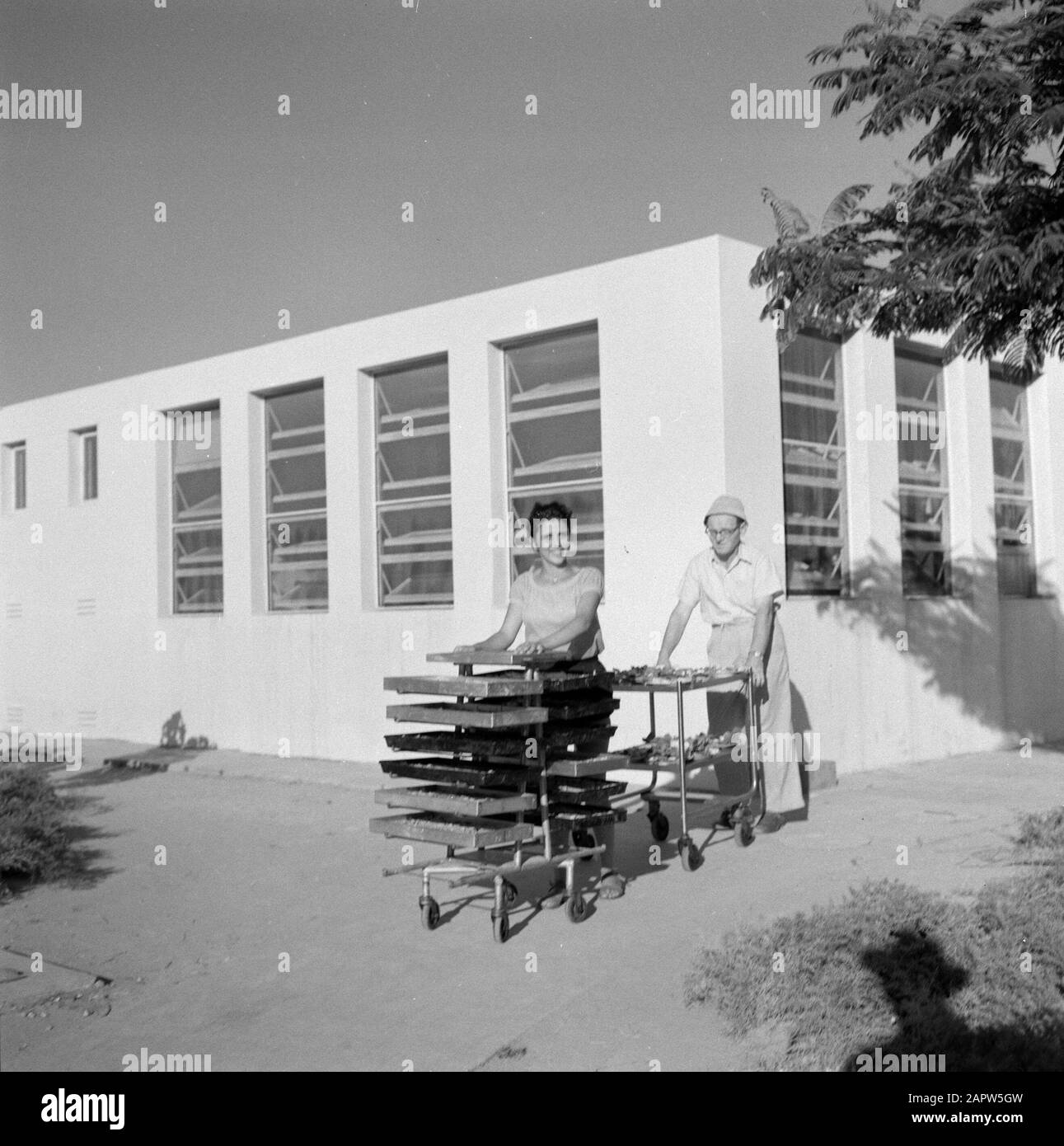 Israel 1964-1965: kibbutz Yad Mordechai Kibbutz Yad Mordechai near Ashkelon  in southwest Israel. A man and a woman each pushing a cart with food on it  with in the background the common