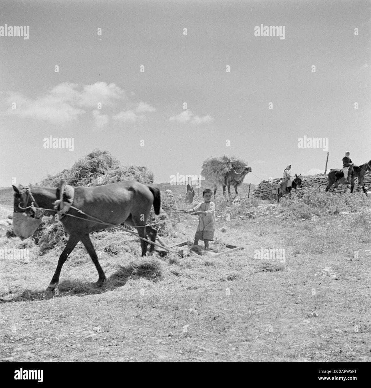 Fotocollectie hi-res stock photography and images - Page 2 - Alamy, image size:1300x1357