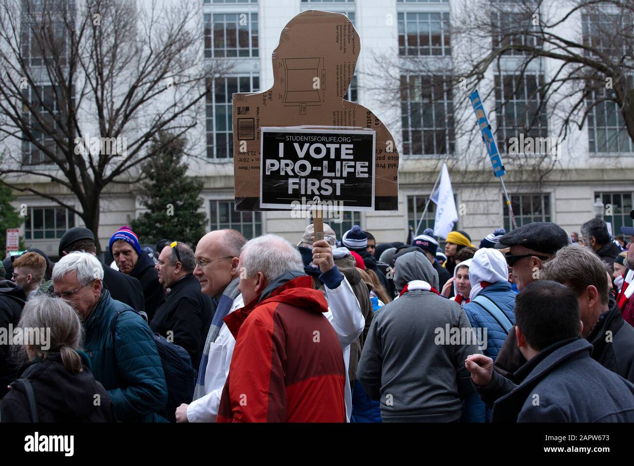 Washington DC, USA. 24th Jan, 2020. People gather for the March for Life on the National Mall in Washington, DC, U.S., on Friday, January 24, 2020. Credit: MediaPunch Inc/Alamy Live News Stock Photo