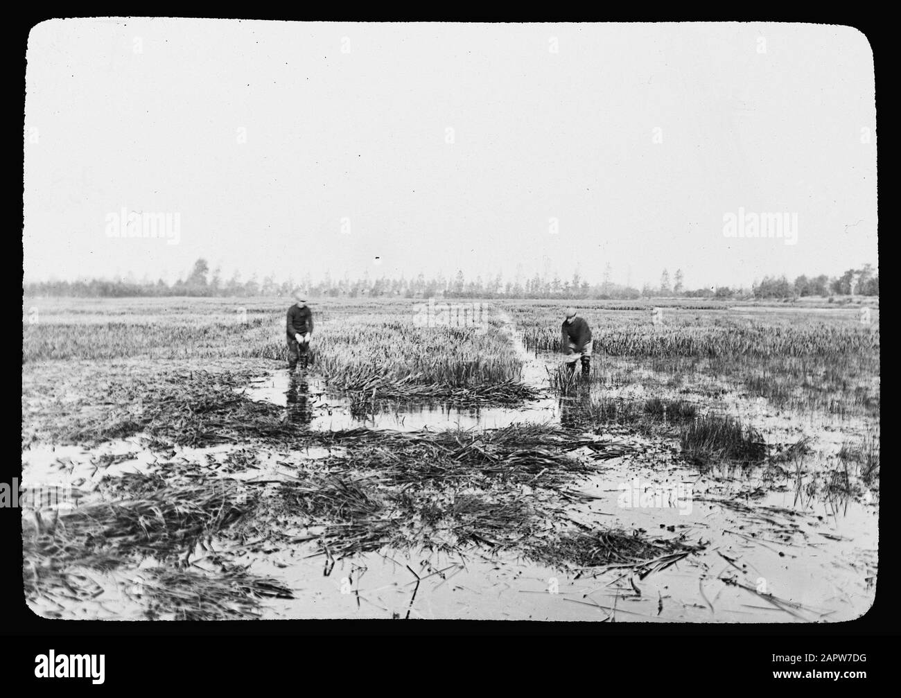 Fishing reed Black and White Stock Photos & Images Alamy