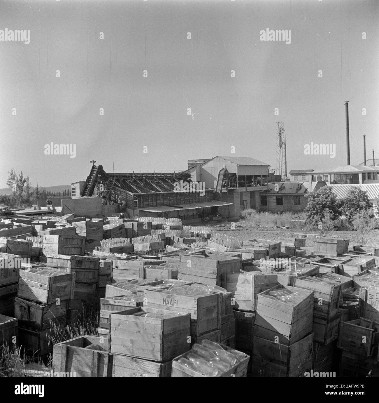 Israel 1948-1949: kibbutz Kiwath Brenner  Crates with empty bottles, presumably at the bottle rinsing of kibbutz Kiwath Brenner; in the foreground a crate with the inscription NAFI Annotation: Kibbutz Kiwath Brenner is also referred to as Givat Brenner. NAAFI (Navy, Army and Air Force Institutes) is a 1921 British organization for military catering Date: 1948 Location: Israel, Rehovot Keywords: bottles, buildings, kibbutz, warehouses, cleaning equipment Stock Photo