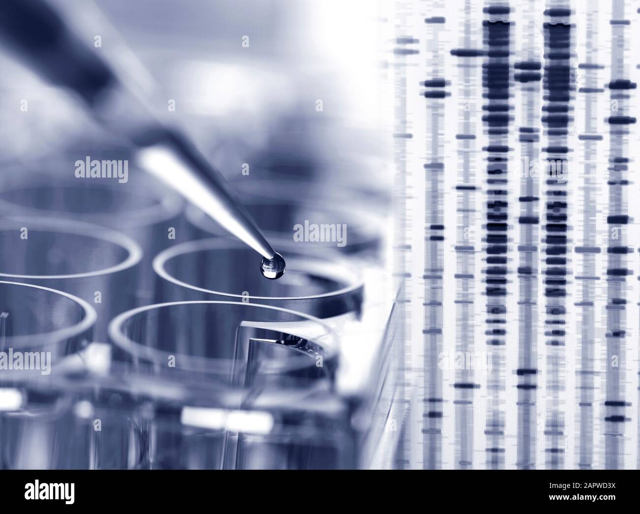 Genetic testing Stock Photo