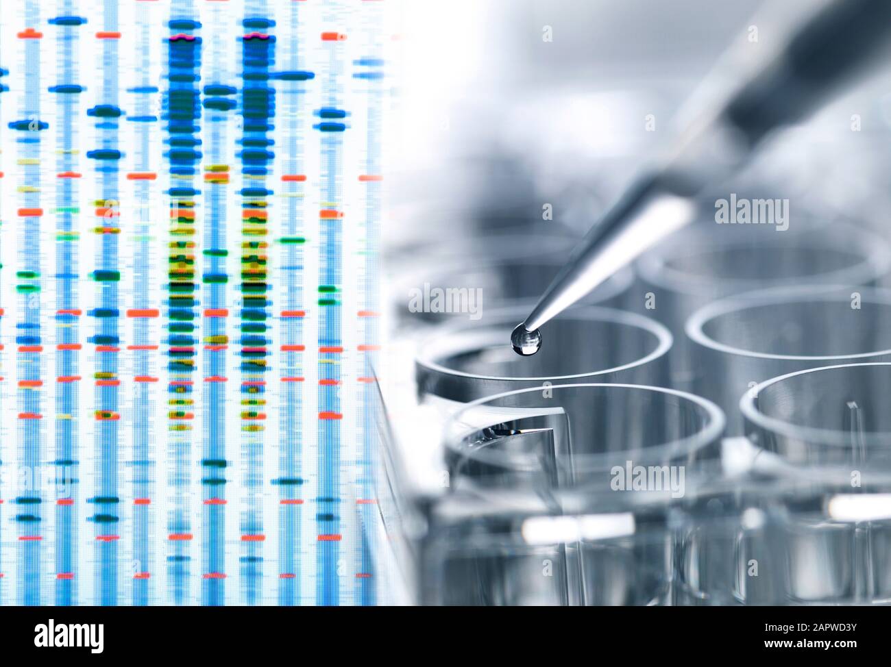 Genetic testing Stock Photo