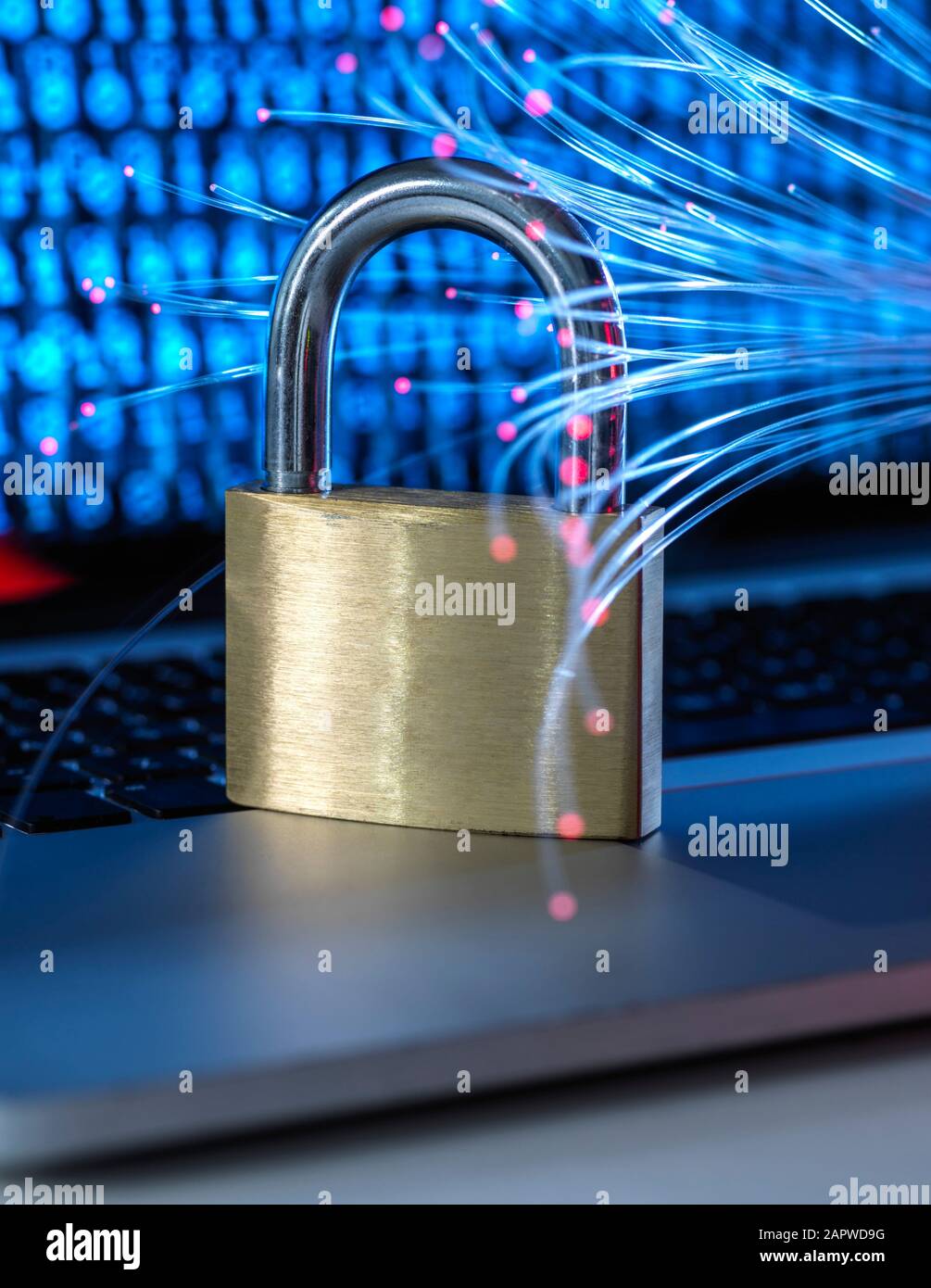 Cyber security, conceptual image Stock Photo