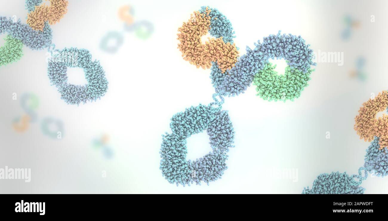 Antibody illustration hi-res stock photography and images - Alamy