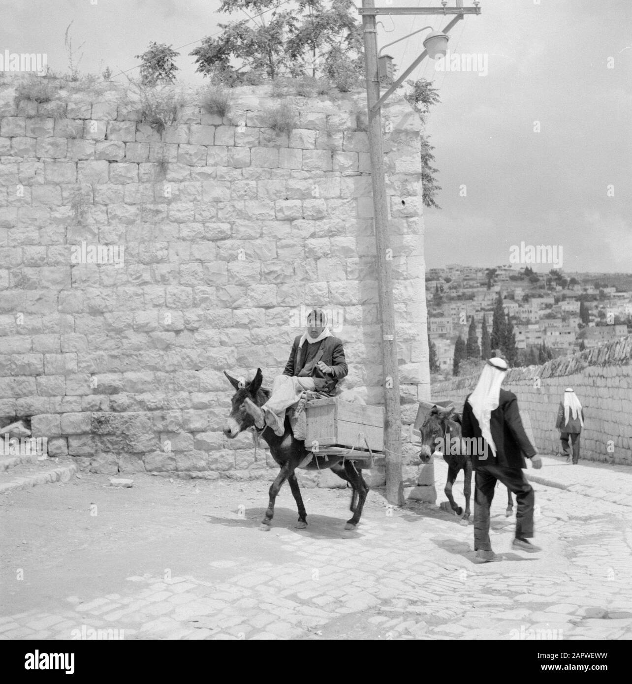 Israel: Nazareth  Man riding on loaded donkey passes a pedestrian Date: undated Location: Galilee, Israel, Nazareth Keywords: donkeys, street images, means of transport, pedestrian Stock Photo