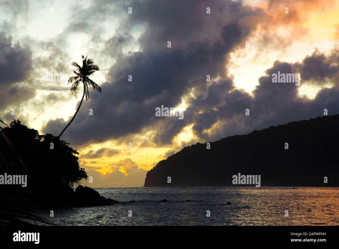 Silhouette of leaning palm tree at beach during an orange sunrise Stock Photo