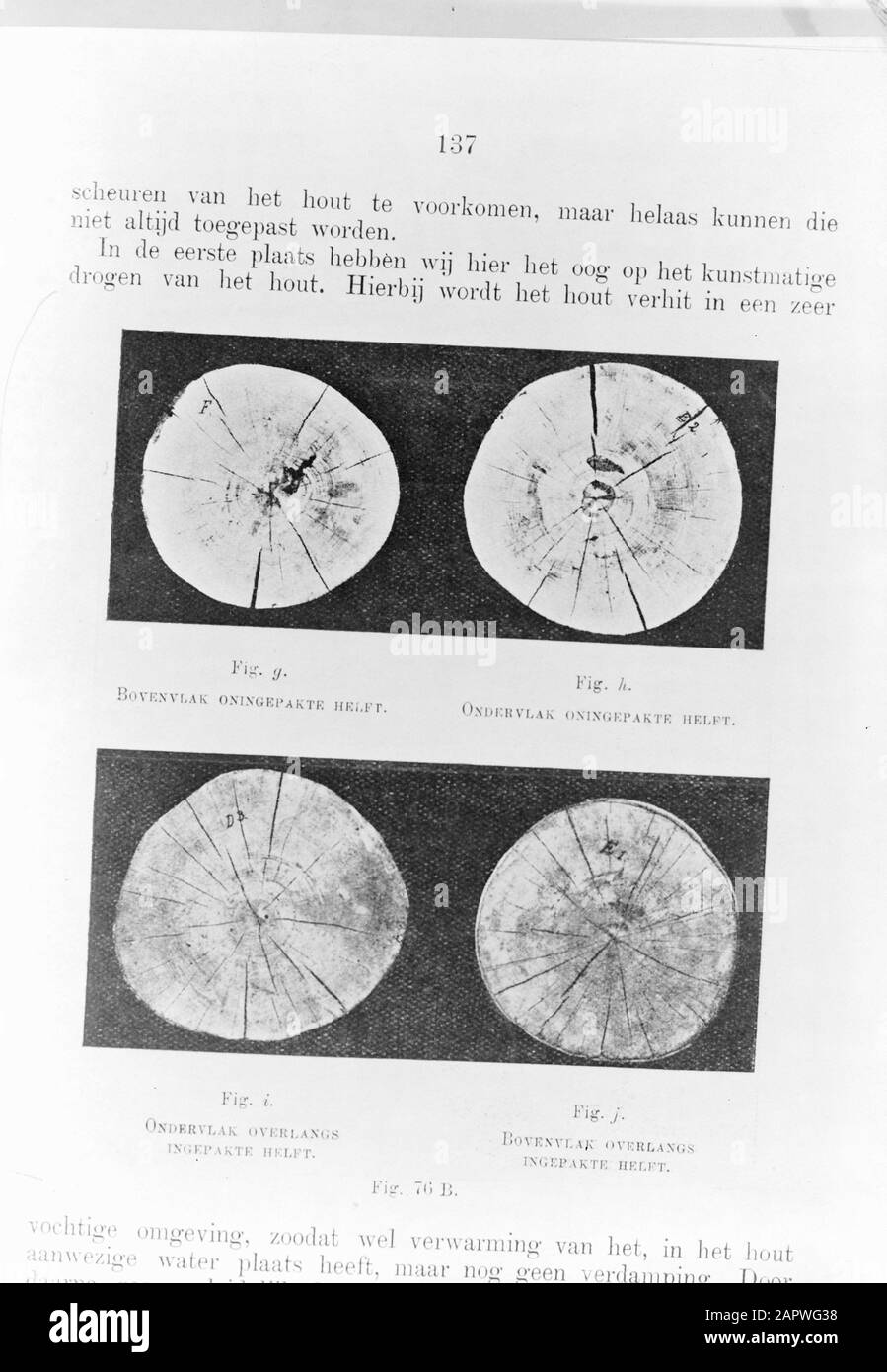 Tree cross sections Black and White Stock Photos & Images - Alamy