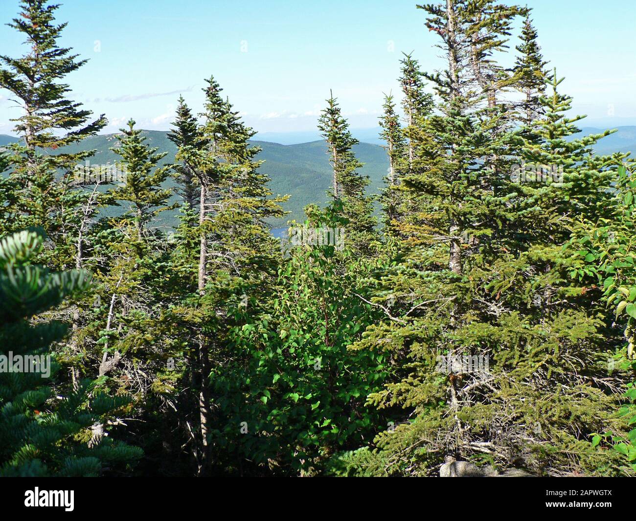 Baxter State Park, Maine Stock Photo Alamy