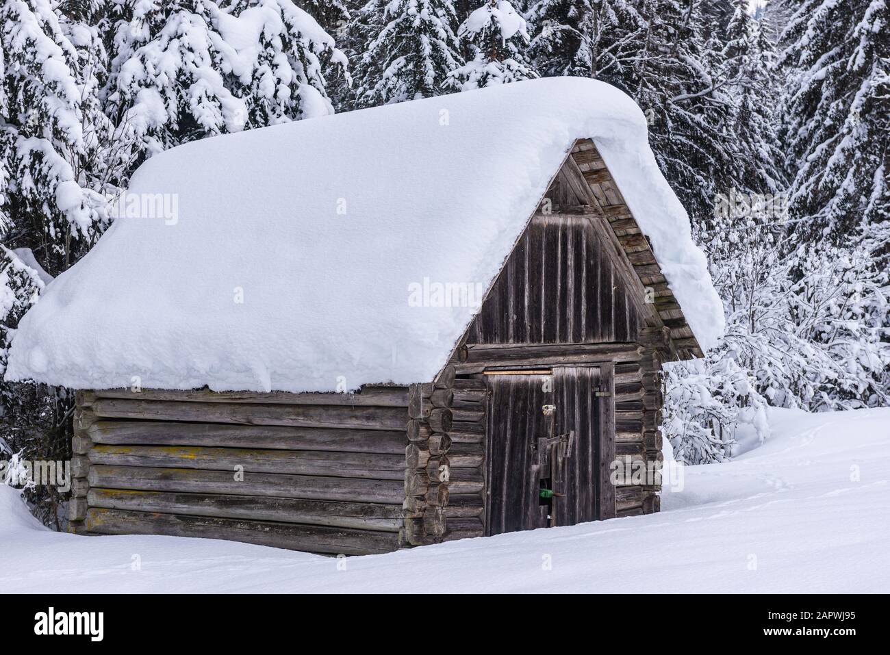 Wooden mountain shed, against the backdrop of snowy mountains and trees. Winter alpine landscape in Austria. Beautiful, natural background. Stock Photo