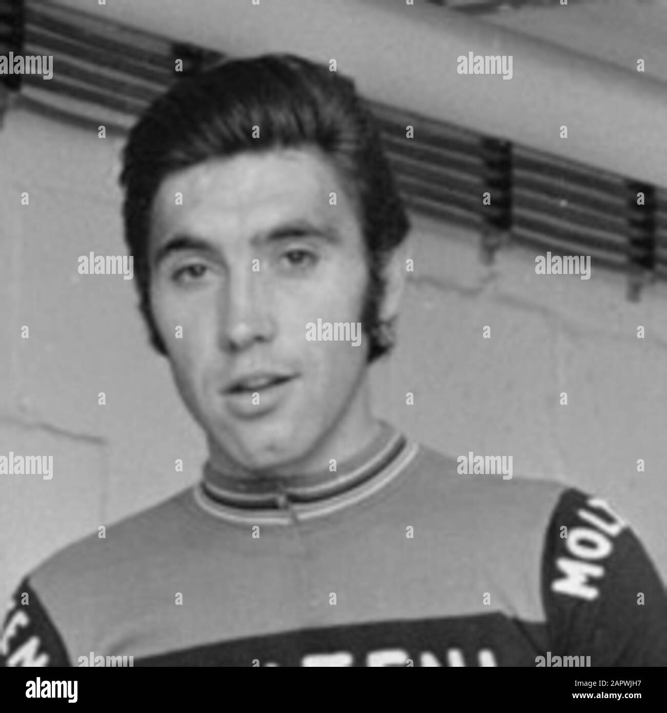 Eddy Merckx Deutsch: Eddy Merckx; Stock Photo