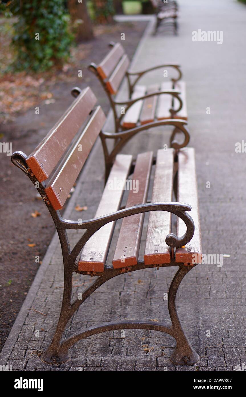 Vertical high angle shot of the empty wooden benches in a walking area ...
