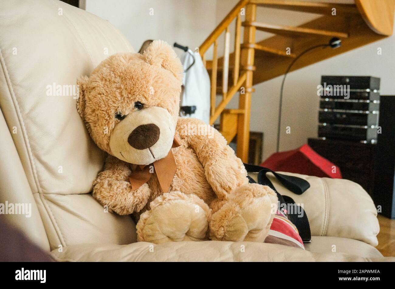 Big fluffy teddy bear on the couch Stock Photo - Alamy