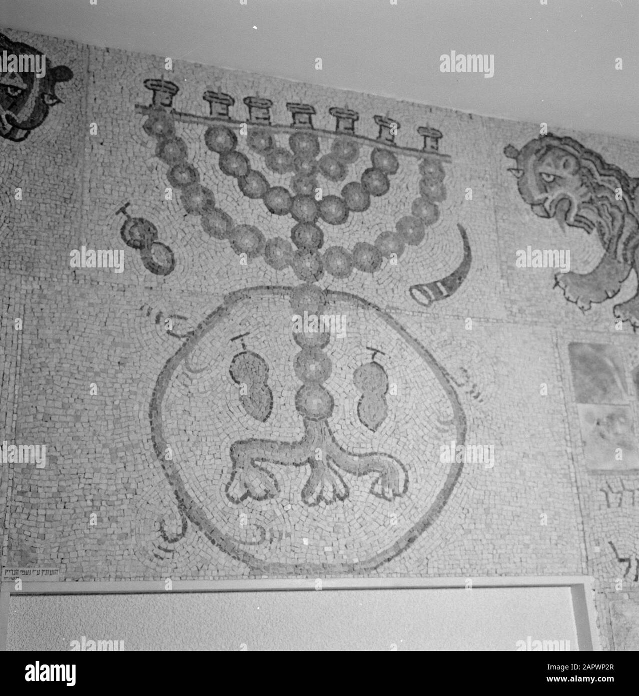 Mosaic in the hall of the office residence of the President of Israel with a seven-armed candlestick and two lions Date: January 1, 1953 Location: Israel Keywords: offices, lions, menorah's, mosaics, presidents Stock Photo