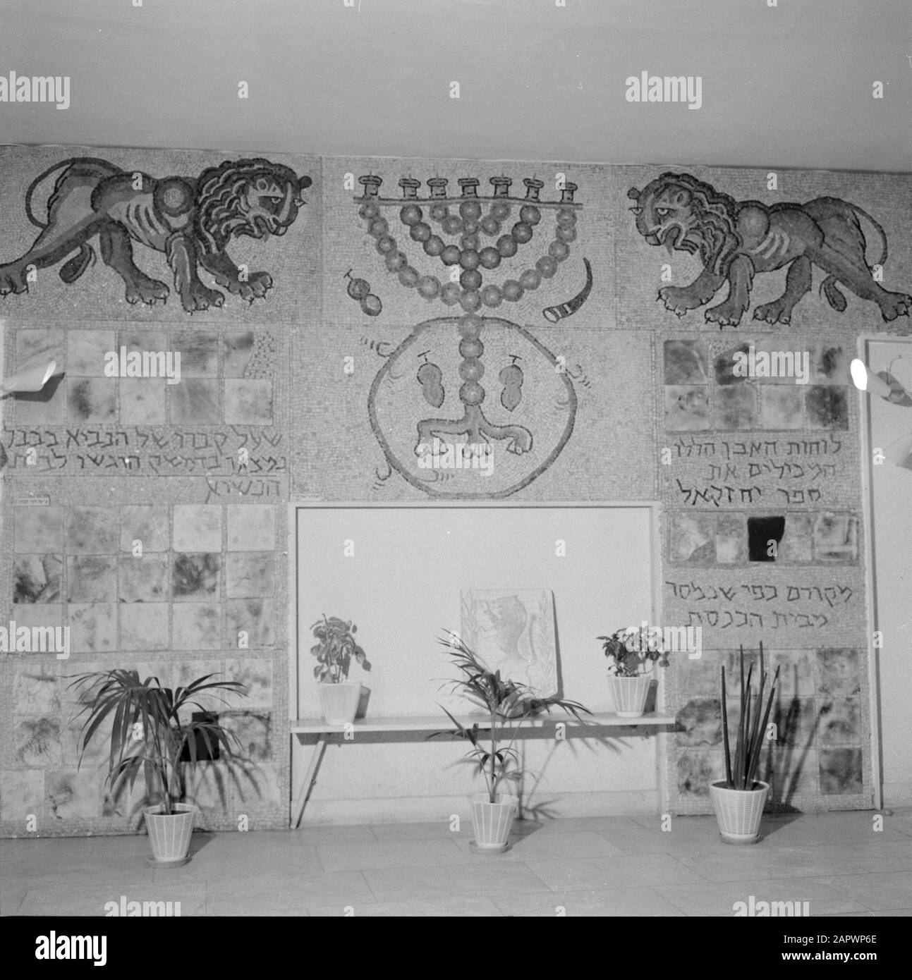 Mosaic in the hall of the office residence of the President of Israel with a seven-armed candlestick and two lions Date: January 1, 1953 Location: Israel Keywords: offices, lions, menorah's, mosaics, inscriptions, presidents Stock Photo