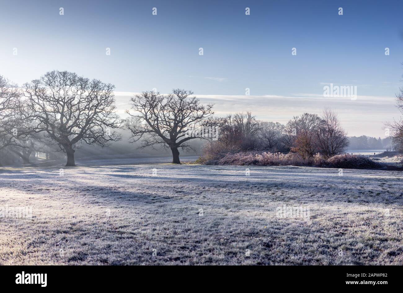 Morning frost over Southampton Common, winter 2020, Southampton England, Hampshire, UK Stock Photo