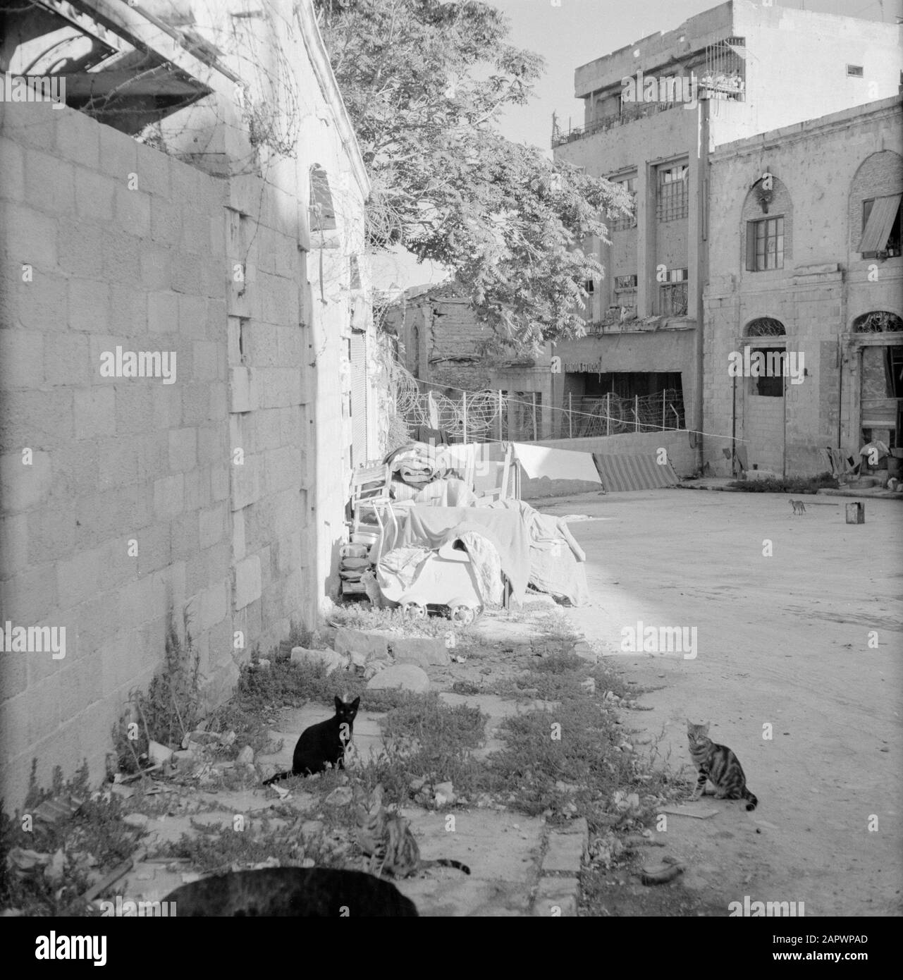 Israel 19641965 Jerusalem (Jerusalem), decay Barbed wire wall as