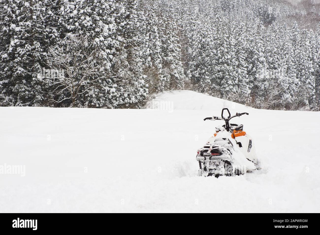 A snowmobile (snow machine, motor sled, motor sledge, skimobile, snowscooter, sled or Ski-Doo) sits atop snow with trees in the background in Japan. Stock Photo