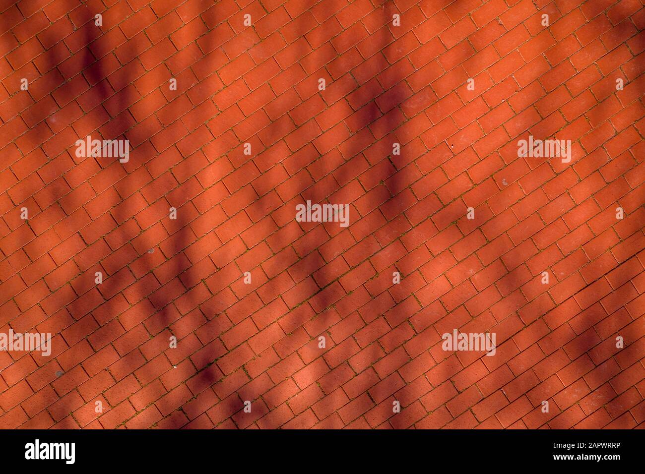 Red orange brick sidewalk pattern from the air with shadows of branches Stock Photo