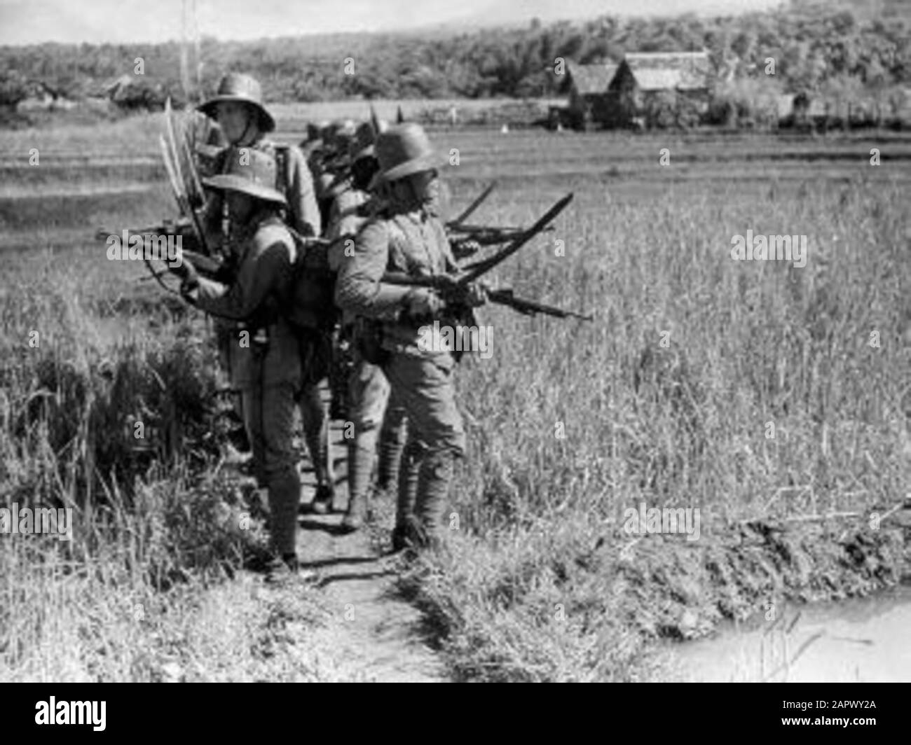A group of Knil-lers, soldiers of the Royal Dutch Indies Army, move in hedgehog position through the fields, so that they cannot be surprised from behind, Dutch Indies 1939. Stock Photo