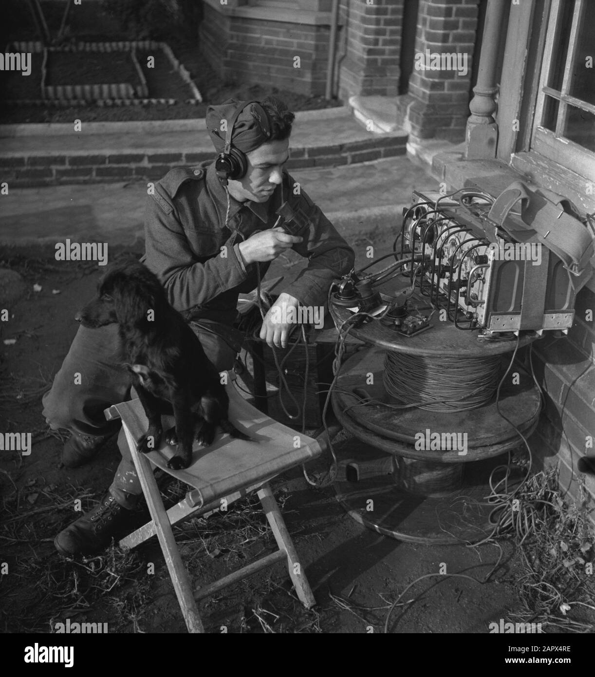 Princess Irene Brigade. Dutch soldiers in training. Radio telegraphist at work Annotation: In the foreground a young dog Date: 1943 Location: Great Britain Keywords: army, soldiers, world war II Stock Photo