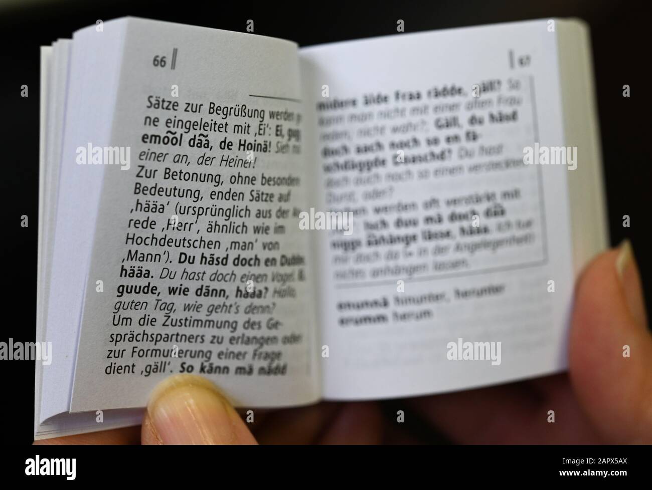 23 January 2020, Hessen, Frankfurt/Main: In an opened phrase book  "Hessisch" you can see words like "guude, wie dänn, hääa ? Each region has  its own linguistic colouring. Regional differences in vocabulary