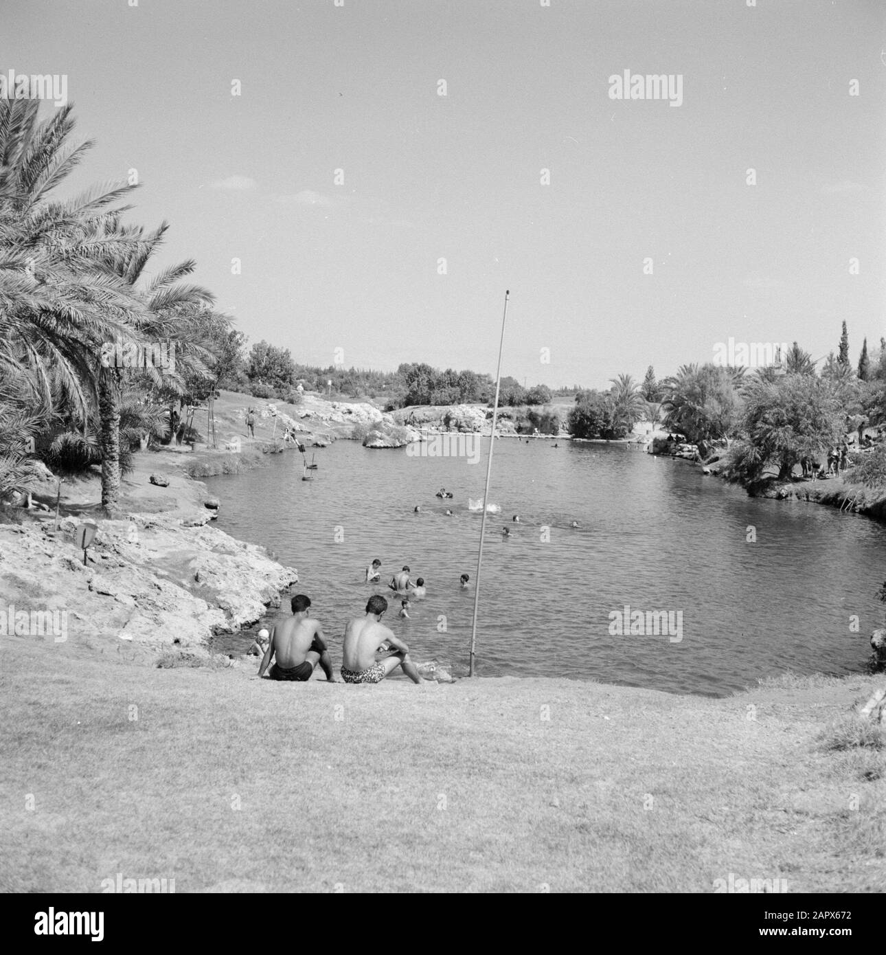 Recreants at the lake in the Gan Hashelosha, Garden of the tree, between Beit Alpha and Beit Shean Date: 1 January 1960 Location: Beit Alpha, Bet Shean, Gan Hashelosha, Israel Keywords: lakes, banks, palm trees, leisure, swimming Stock Photo